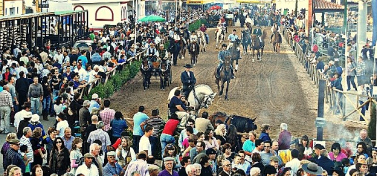 National Horse Fair Since 1571, in Golegã National Horse Fair Since 1571, in Golegã