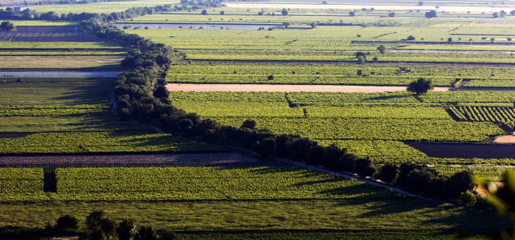 Ribatejo, Three Natural Regions Ribatejo, Three Natural Regions